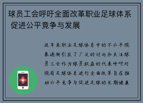 球员工会呼吁全面改革职业足球体系 促进公平竞争与发展