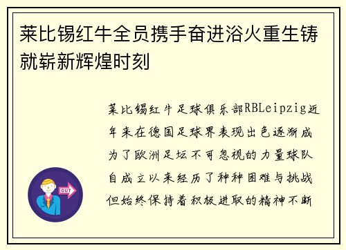 莱比锡红牛全员携手奋进浴火重生铸就崭新辉煌时刻