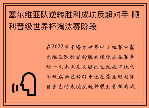 塞尔维亚队逆转胜利成功反超对手 顺利晋级世界杯淘汰赛阶段