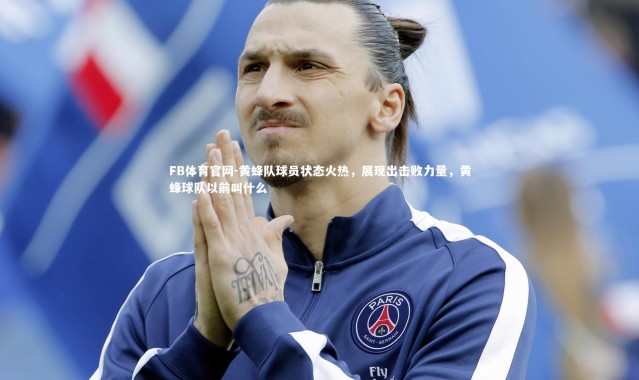 FB体育官网-黄蜂队球员状态火热，展现出击败力量，黄蜂球队以前叫什么