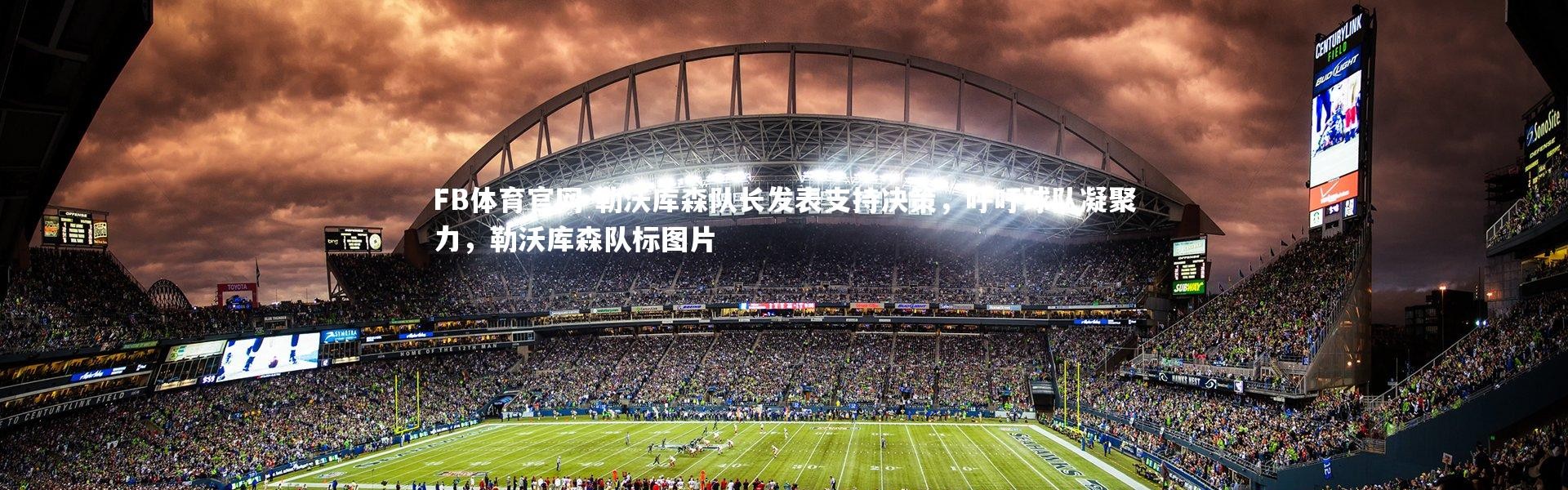 FB体育官网-勒沃库森队长发表支持决策，呼吁球队凝聚力，勒沃库森队标图片