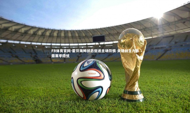 FB体育官网-霍芬海姆状态低迷主场饮恨 关键战乏力暴露赛季隐忧