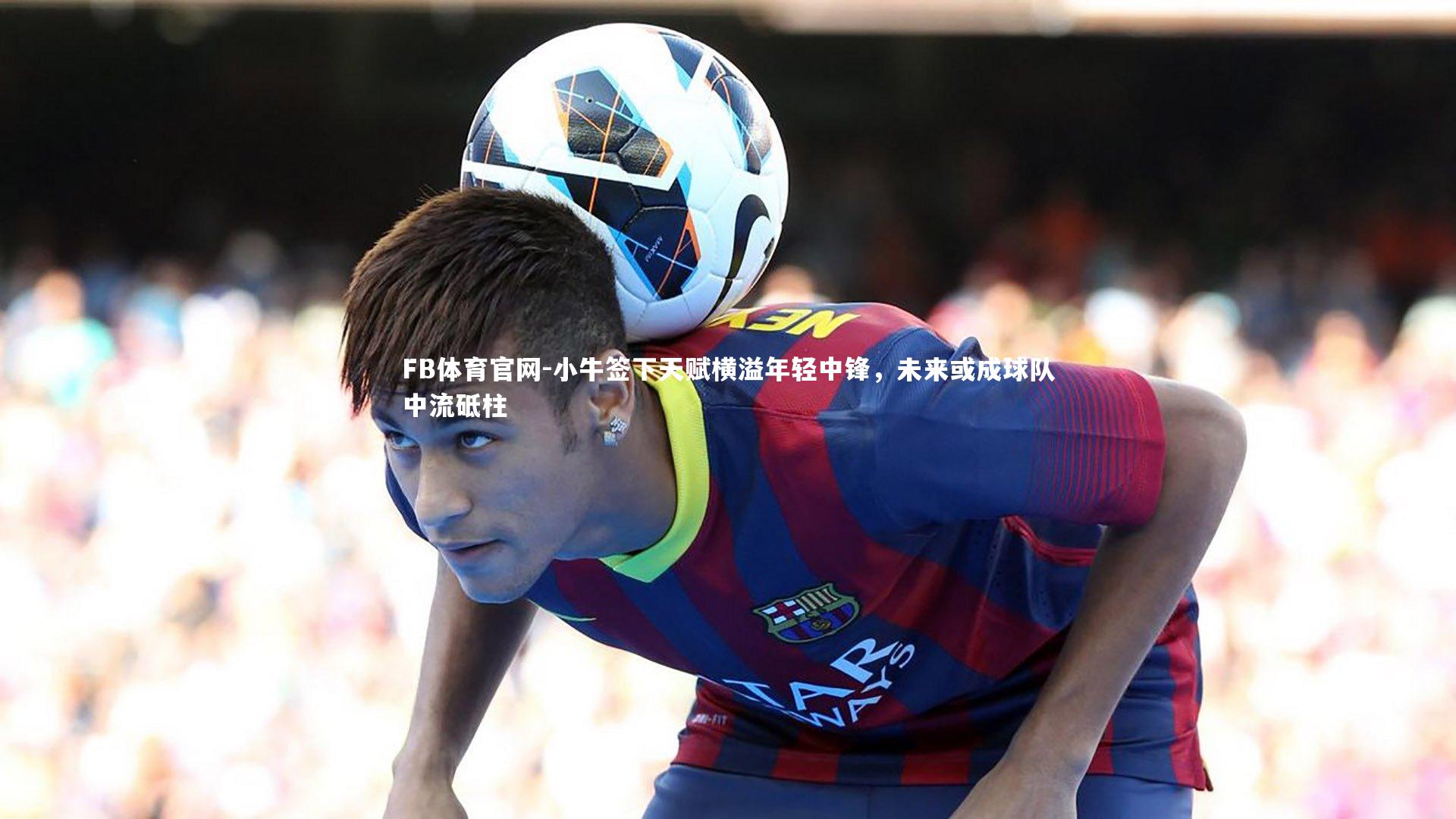 小牛签下天赋横溢年轻中锋，未来或成球队中流砥柱